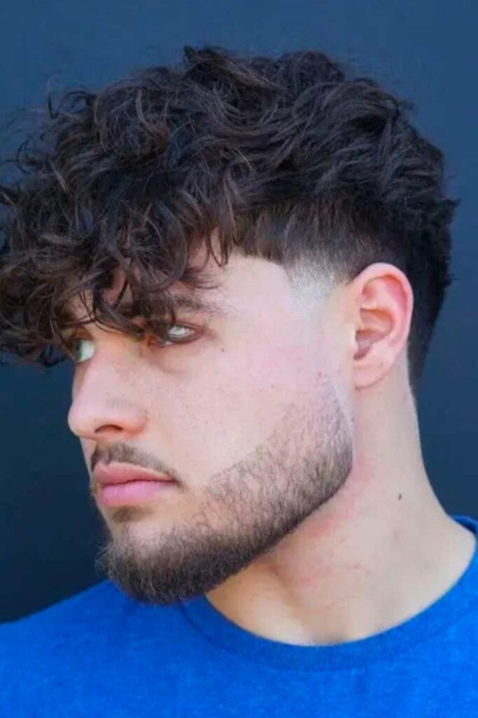 Low Taper Fade Curly Hair 17 Lunar Curl Contour